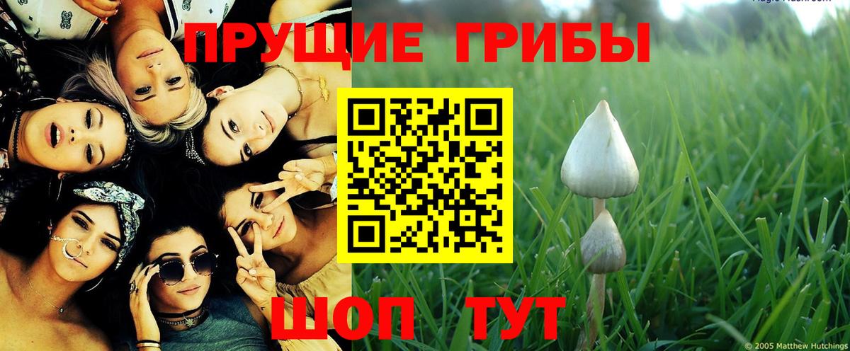 Кубинка  Галлюциногенные грибы Cubensis  купить наркотик  Вход с VPN 